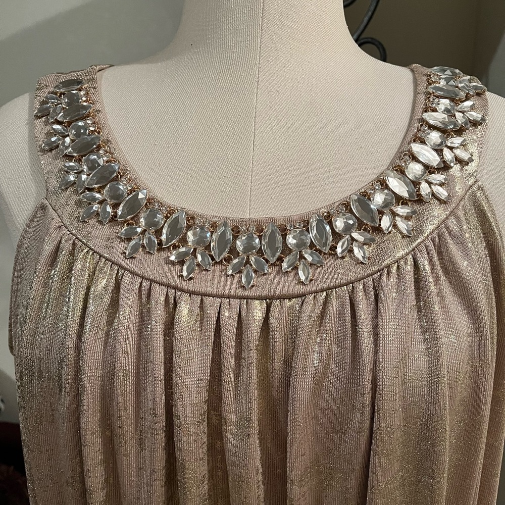 Plus Size Evening Dress Size 2X New Without Tags